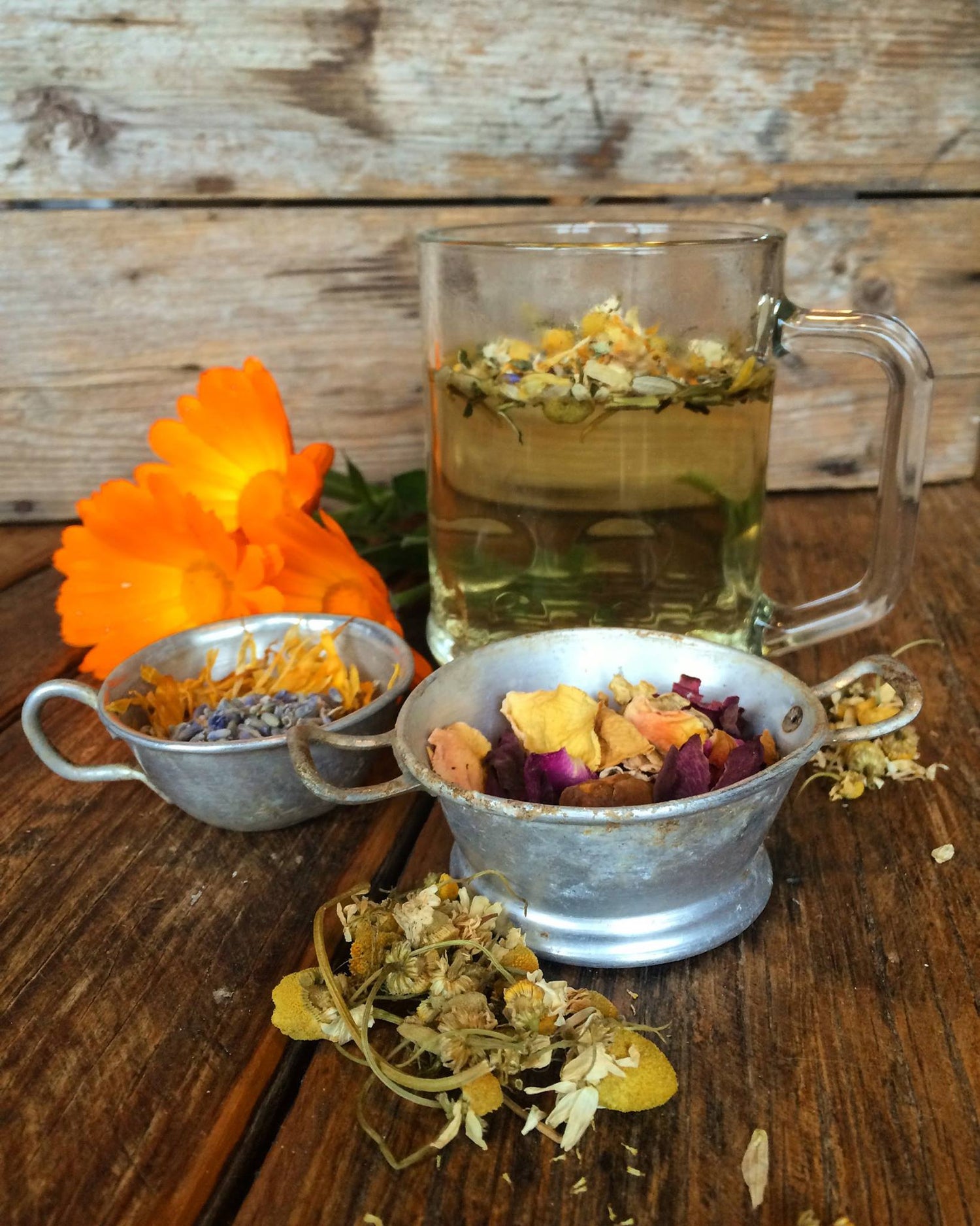 GTea Herbal Infusions