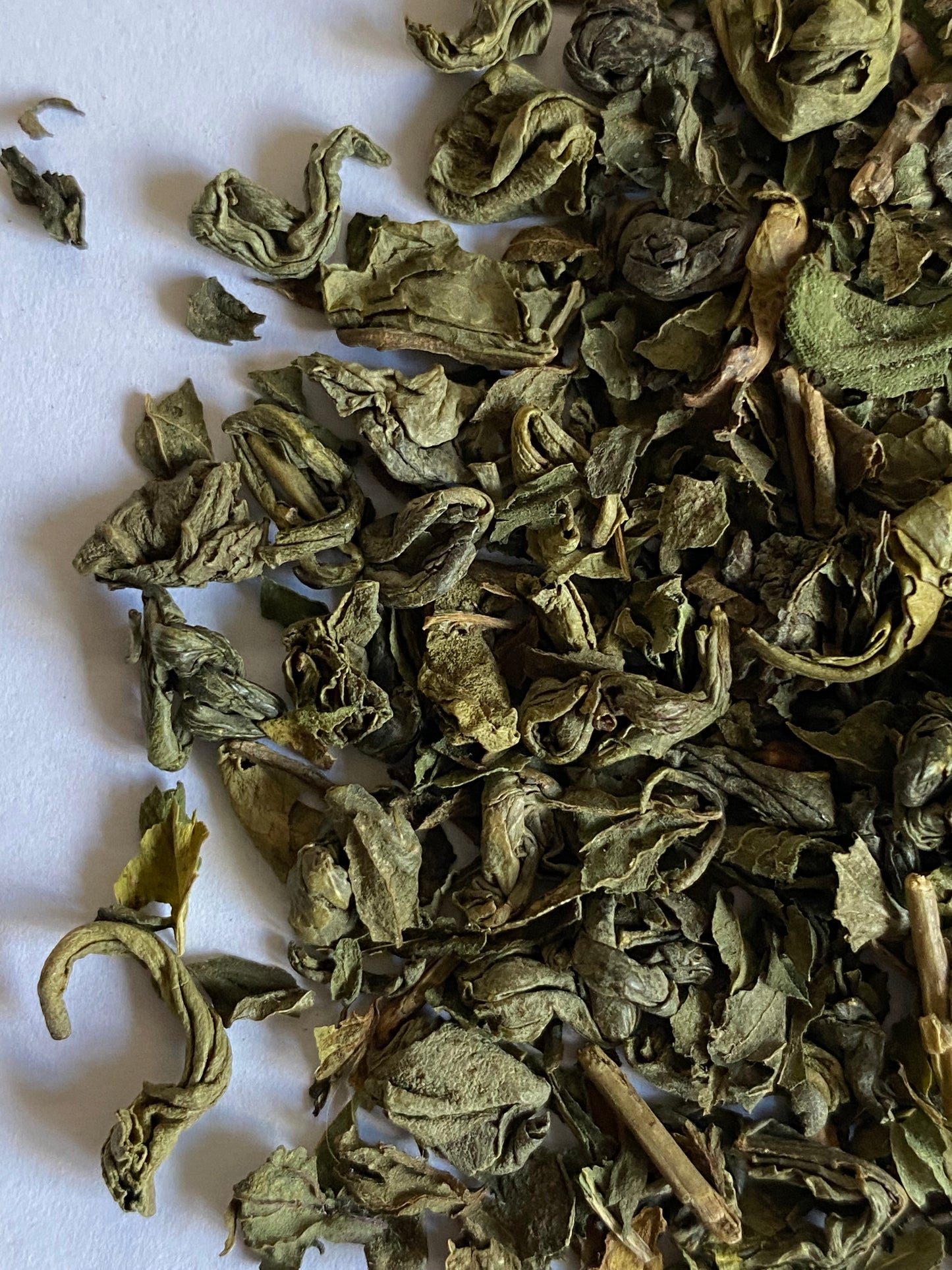 Moroccan Mint