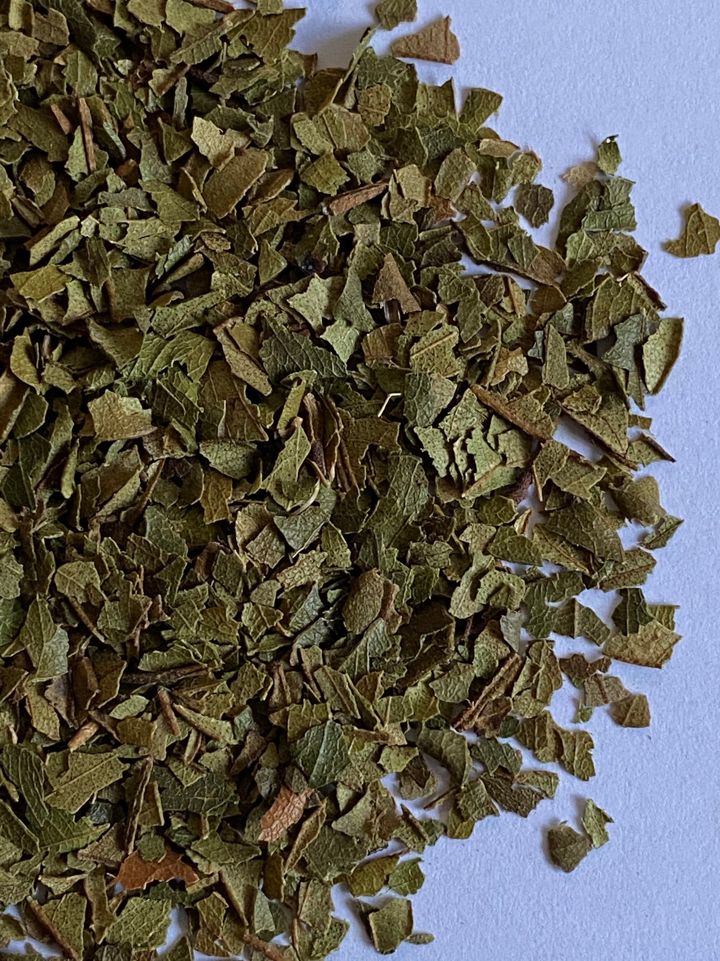 Lemon Myrtle