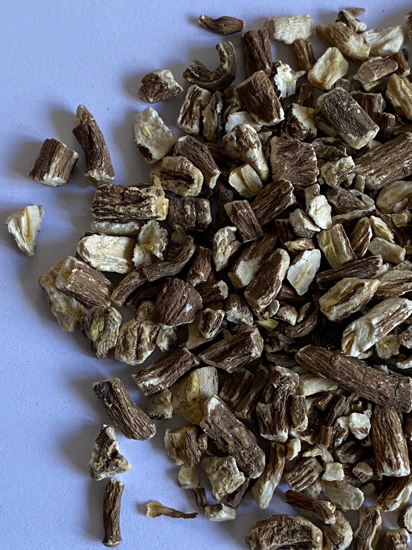 Dandelion root