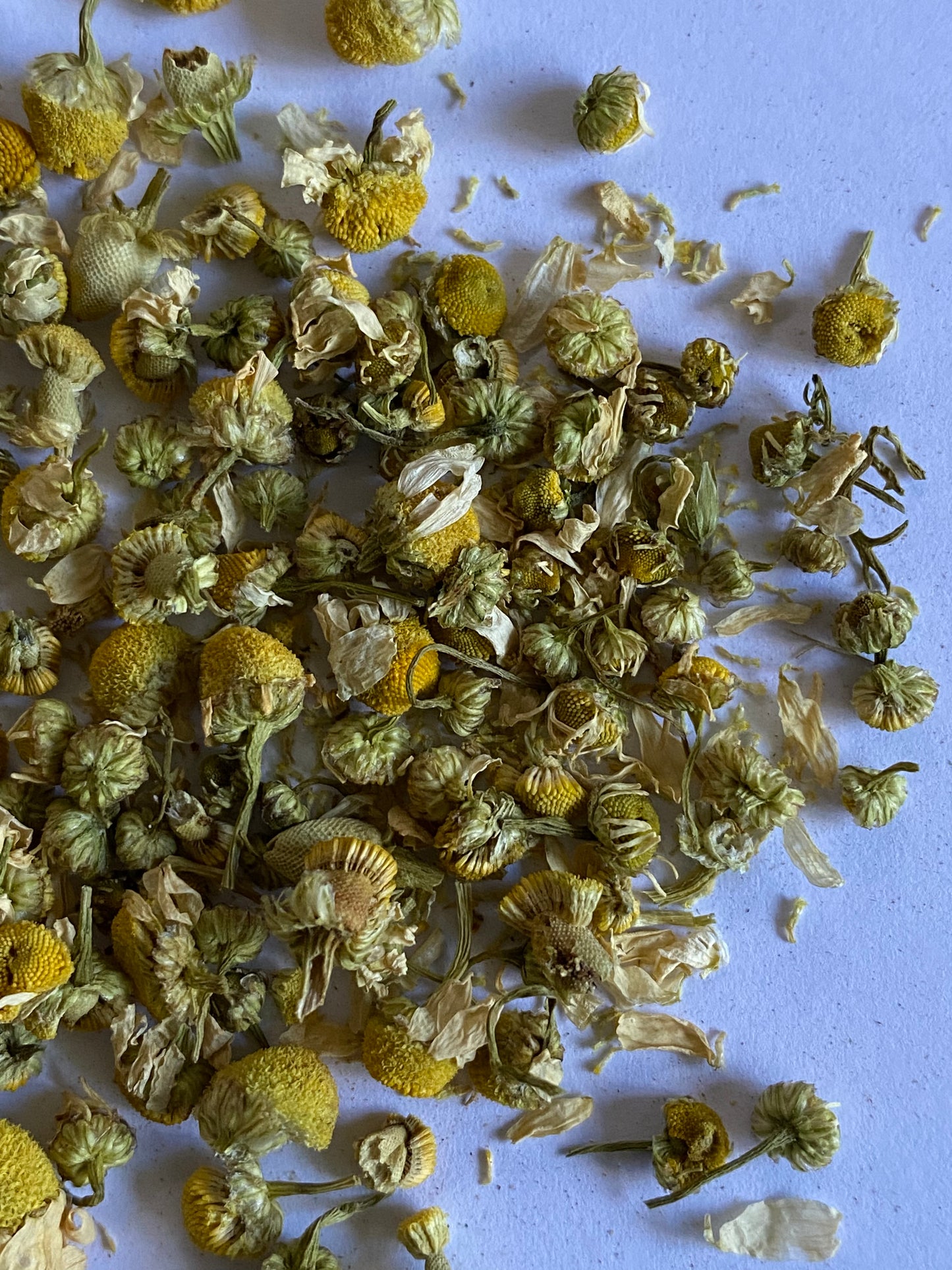 Chamomile